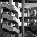 Contorsioni Contorsioni