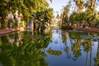 Giardino Majorelle Giardino Majorelle