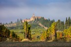 l'autunno in vigna l'autunno in vigna