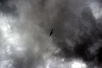 In den Wolken In den Wolken