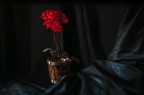 Ti regalero` una rosa Ti regalero` una rosa