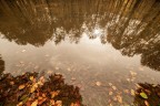 Laghetto_MonteLivata_RM_Nov2023_2 Laghetto_MonteLivata_RM_Nov2023_2