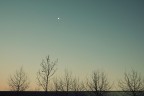 Serenata alla Luna Serenata alla Luna