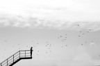 Il mare ...... Il mare ......