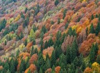 pattern autunnale pattern autunnale