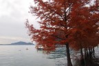 Nel lago Nel lago