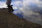 Vertigini Vertigini