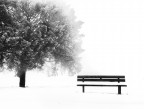 Inverno Inverno