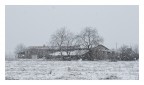 Neve a Catinelle - Il Cascinale