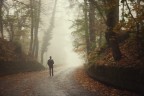 Passi Nella Nebbia Passi Nella Nebbia