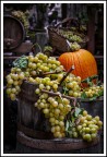 trionfo d'autunno trionfo d'autunno