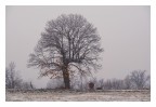 Nevischio, freddo silenzio. Nevischio, freddo silenzio.