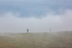 Da soli nella nebbia Da soli nella nebbia