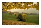 Autunno Autunno