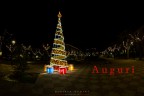Auguri Auguri