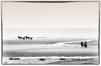 Spiaggia di Cabourg (Normandia) Spiaggia di Cabourg (Normandia)