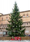 Buon Natale, triste per troppe guerre Buon Natale, triste per troppe guerre