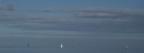 Acqua su vela Acqua su vela