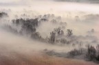 Fog Fog