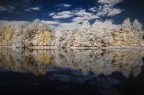 Mirror Mirror