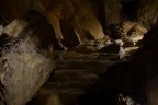 Grotte di Bossea - CN Grotte di Bossea - CN
