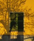 Il muro... una tela da dipingere Il muro... una tela da dipingere