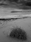 Mare d'inverno Mare d'inverno