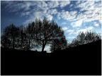 mattino mattino