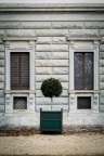 Alberello Alberello