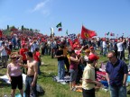 imola tifo imola tifo