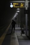Night traveller Night traveller