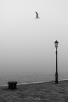 Come � triste Venezia