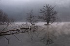 Mattina sul fiume Mattina sul fiume