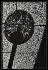 ombra 1981 ombra 1981