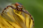 Macro_Mar2024_b1 Macro_Mar2024_b1