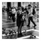 Piccioni Piccioni