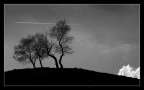 paesaggio b/n 2 paesaggio b/n 2