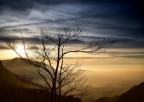 Alba prealpina Alba prealpina