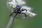 Macro_Giu2024_6 Macro_Giu2024_6