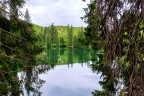 Lo specchio della natura Lo specchio della natura