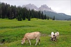 Dolomiti