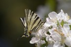 Primavera 02 Primavera 02