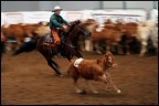 Gara di Team Penning