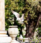 Ehi amico...non fare scherzi :-)