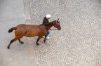 verso il Palio verso il Palio
