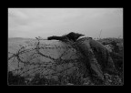 L'esecuzione L'esecuzione