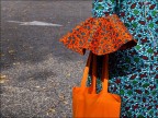 Primavera d'autunno Primavera d'autunno