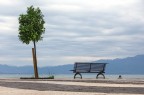 Bardolino Bardolino