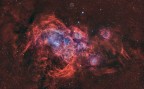 L'aragosta cosmica L'aragosta cosmica