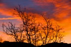 L'incendio L'incendio